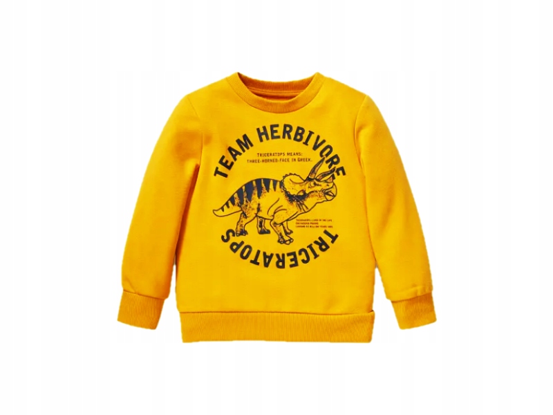 

Nowa C&a bluza dresowa Dinozaur 98
