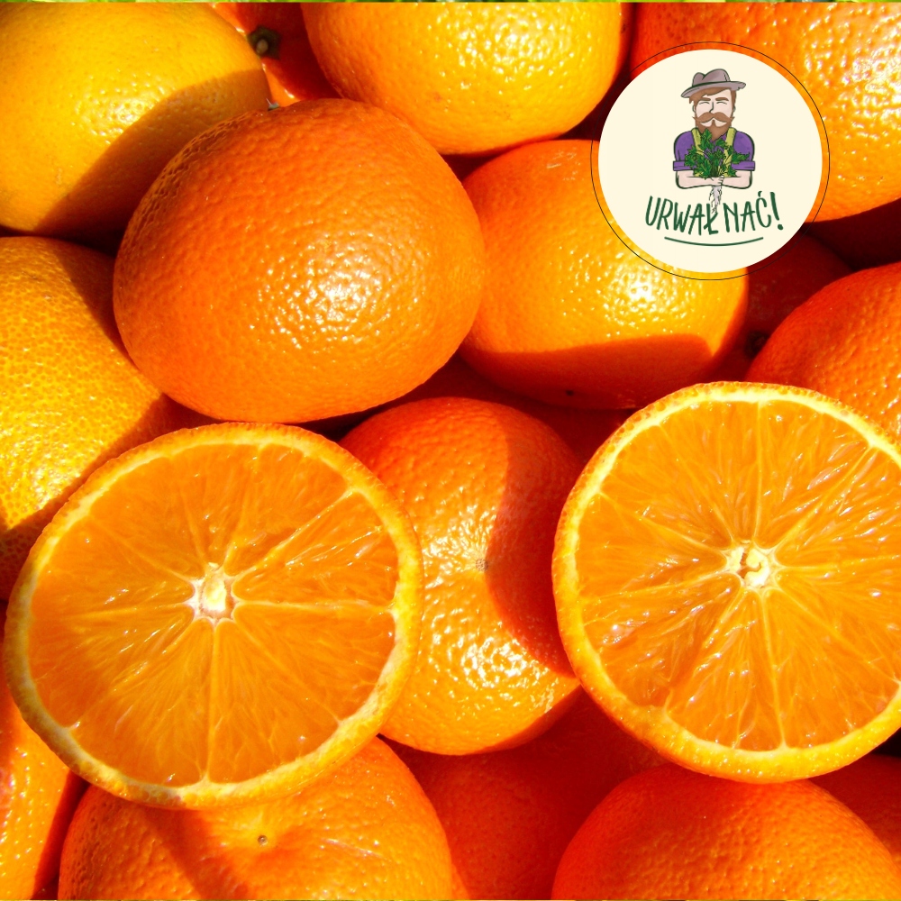 Dezertní pomeranče 10 kg Nejlevněji v Polsku