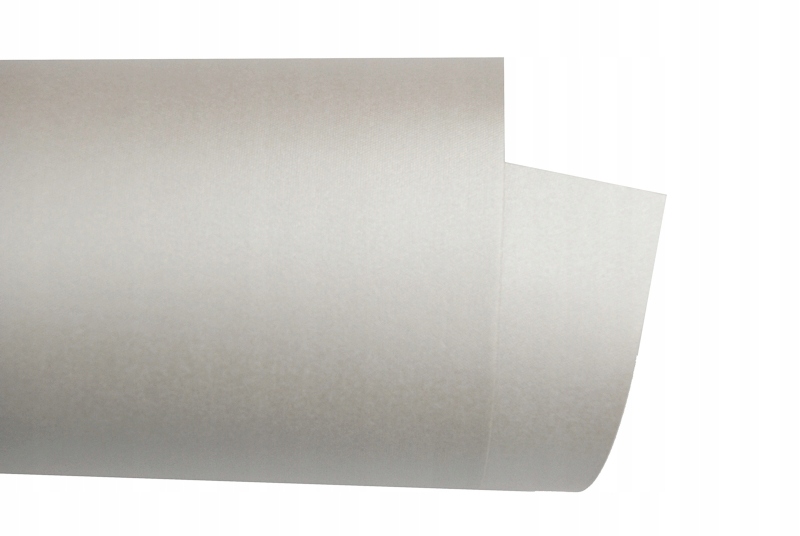 

Papier firmowy perłowy A4 20 ark 110g Ryps 2F