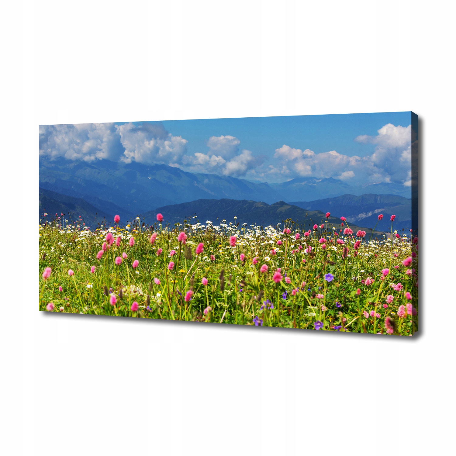 

Foto obraz na płótnie Łąka w górach 140x70 cm