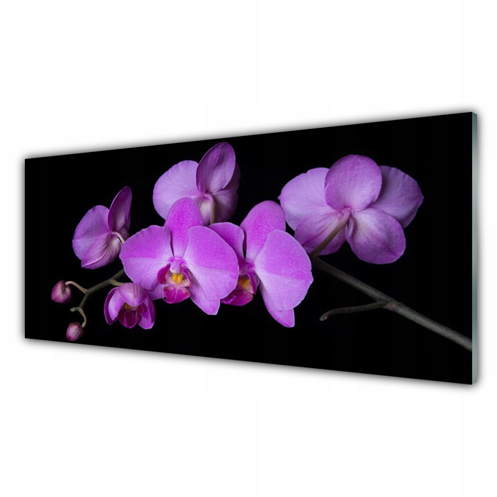 

Fotoobraz wiszący 125x50 Storczyk Orchidea Kwiaty