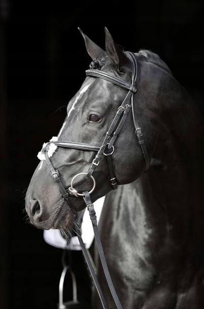 OGŁOWIE DLA KONIA CANCUM CZARNY FULL COVALLIERO Rozmiar 3 (full)