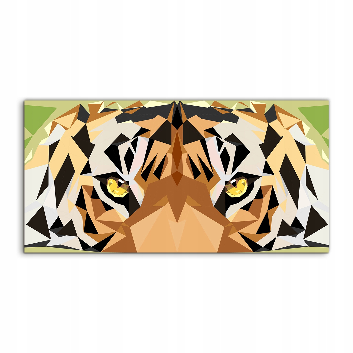 Fotoobraz 100x50 moderné Zvieratá Mačka Tiger