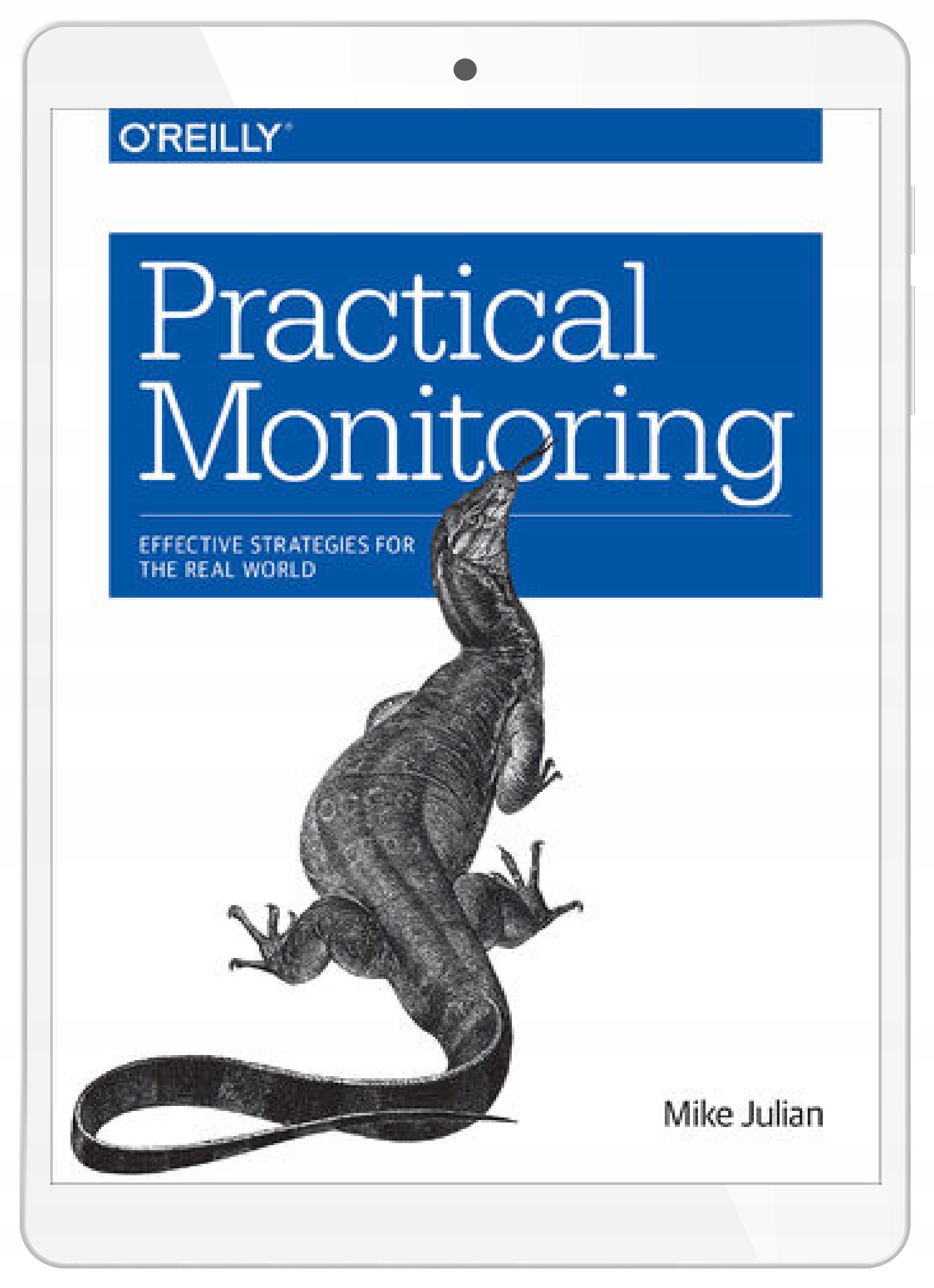 Practical Monitoring. Effective Strategies for the