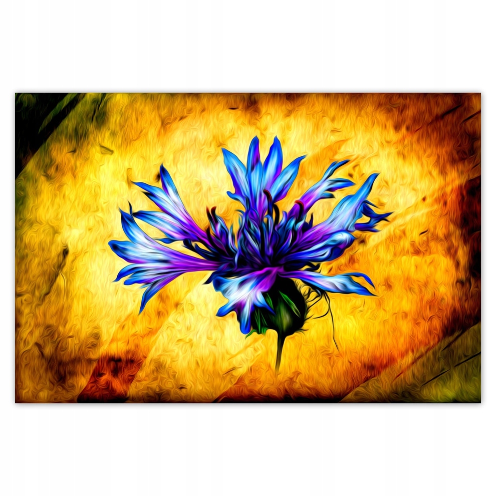 

Plakaty 93x62 Modrak