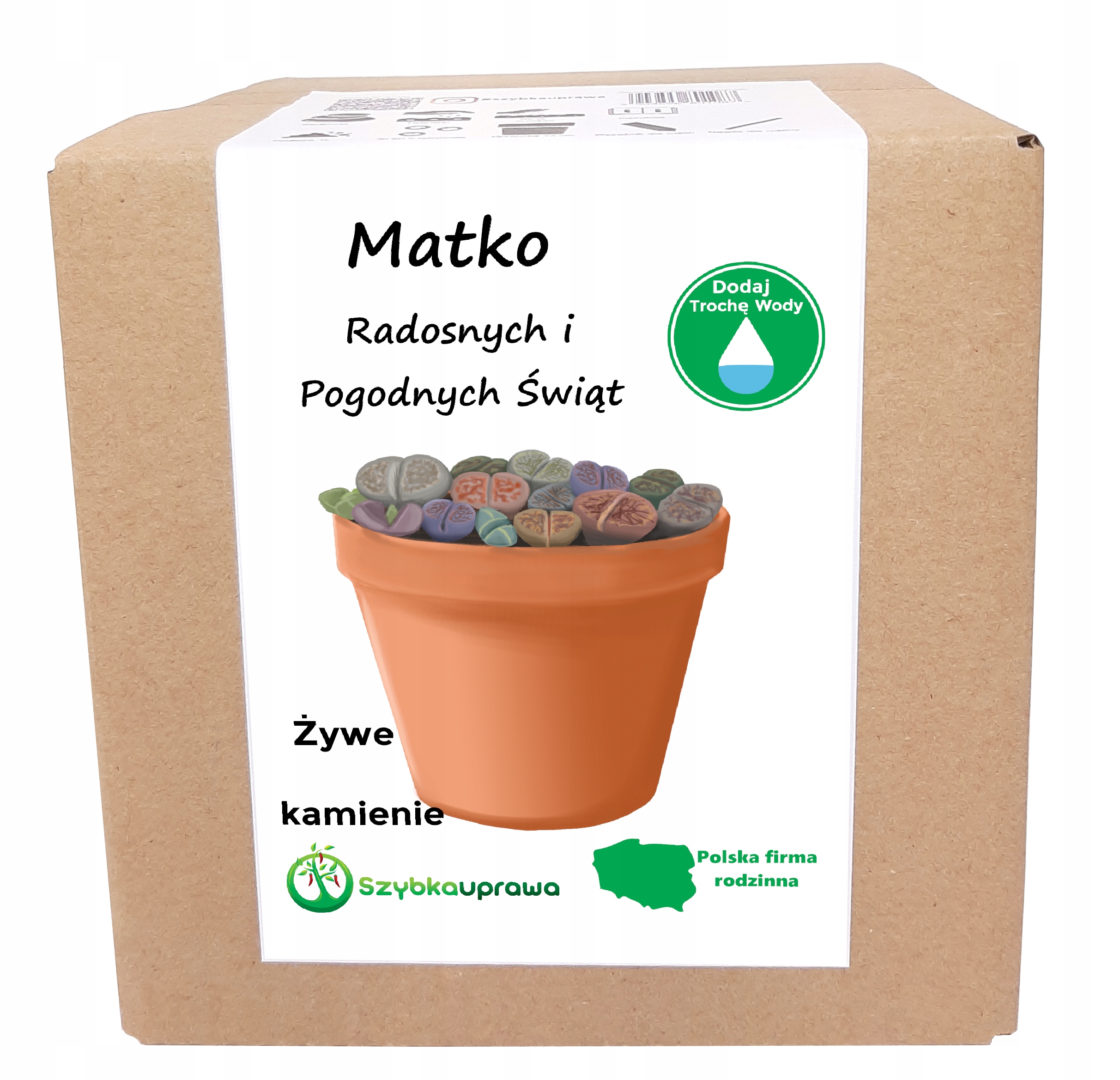 

Świąteczny Dla Matki Kpl. Żywe Kamienie