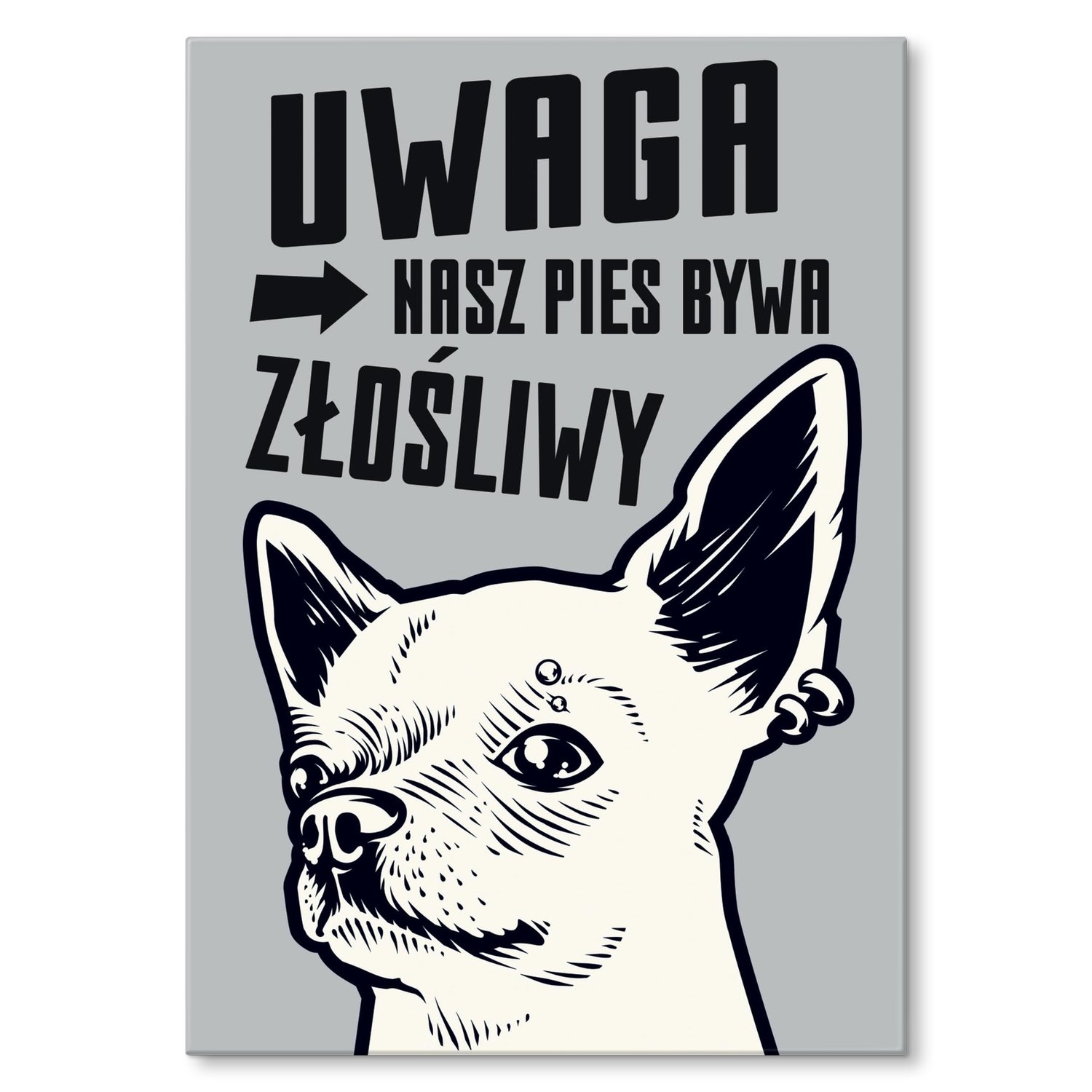 Kovový plakát Náš zlomyslný pes Šidítko Plech 42 x 59,4 cm Dárek