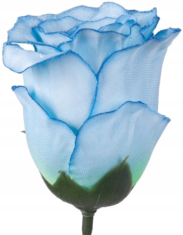 

Róża w pąku główka kwiatowa Cena za 12sztuk F-08