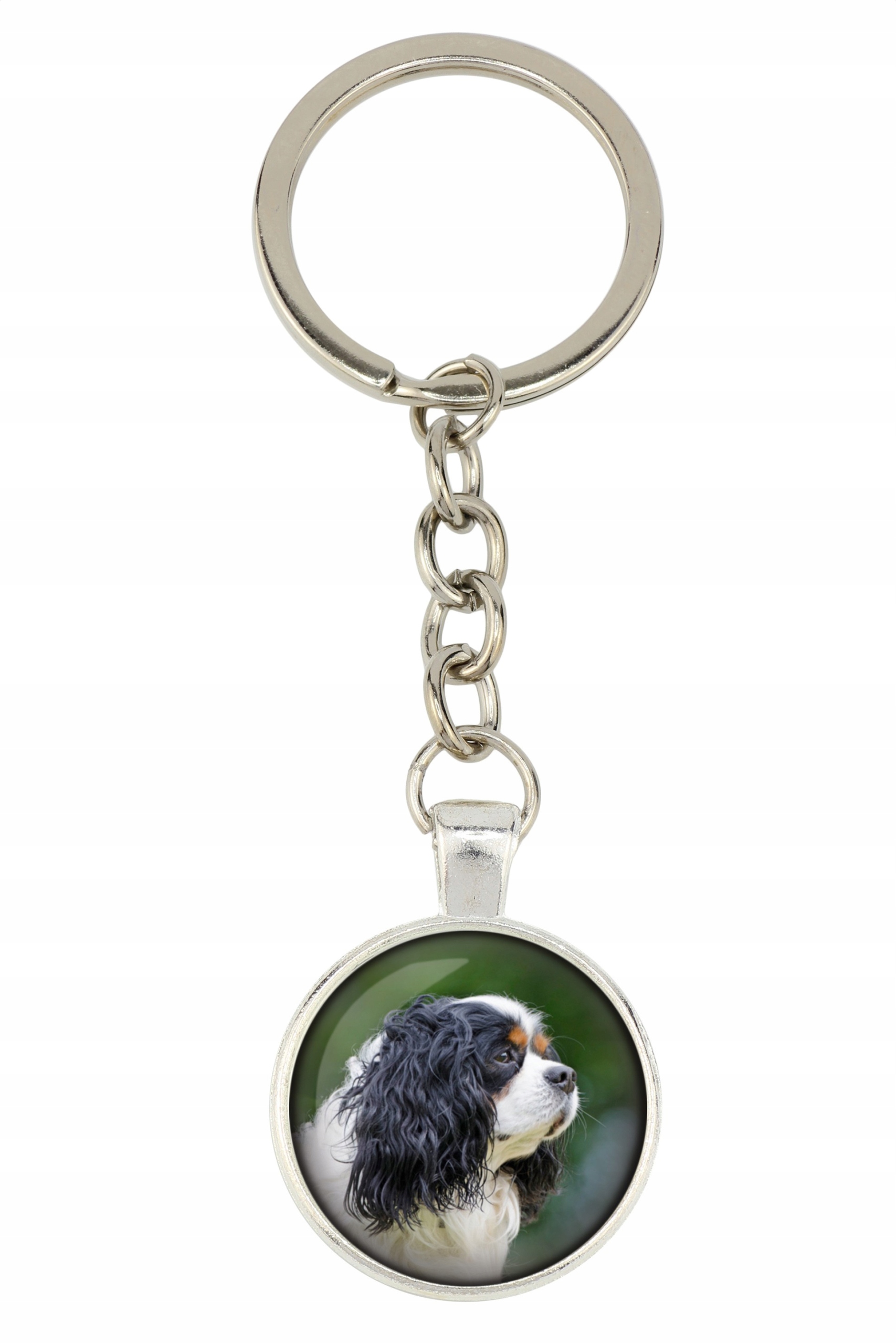 

Cavalier King Charles Spaniel Brelok Twoje zdjęcie