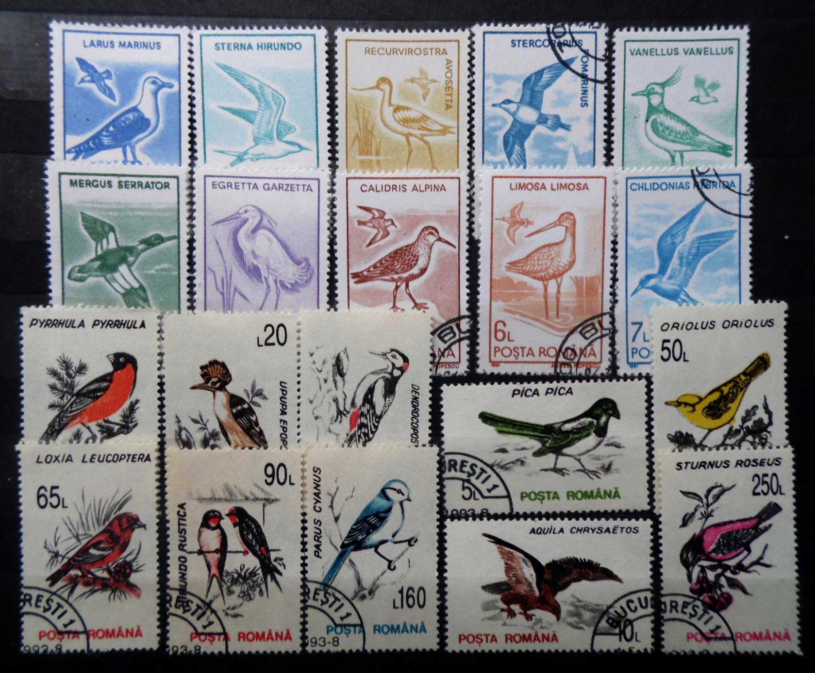 Rumunia 1991 i 1993 ptaki 20 z 20