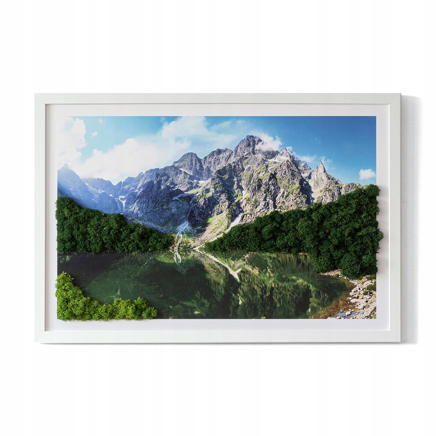 Obraz s machom darček Tatry Morské oko 60x40