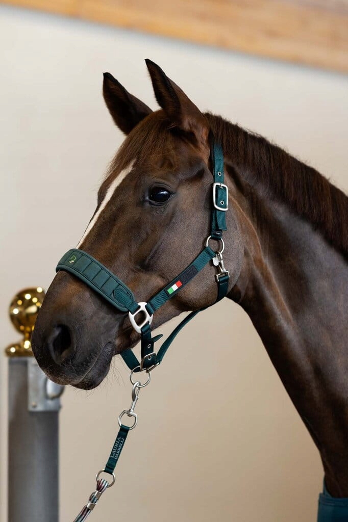 Hkm Kantar Lauria Garrelli Livigno zielony Cob