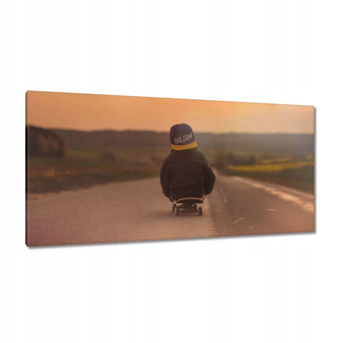 Obrazy 115x55 Skateboard
