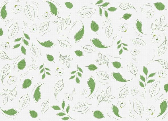 

Zielone listki - fototapeta 366x254 cm