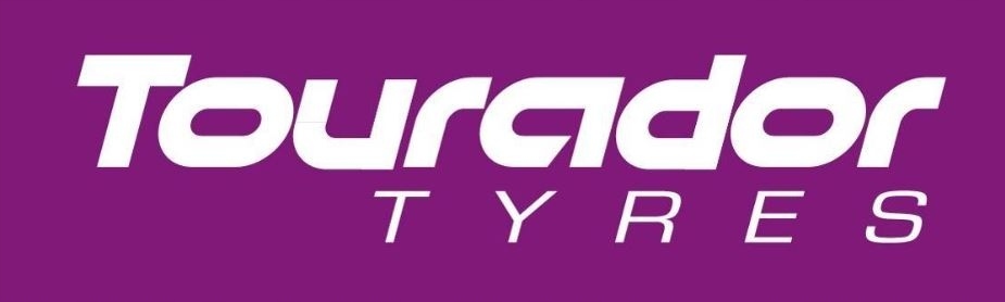 4x opony zimowe Tourador 225/60R17 WINTER PRO TSS1 BSW 99T M+S 3PMSF Sezon zimowe