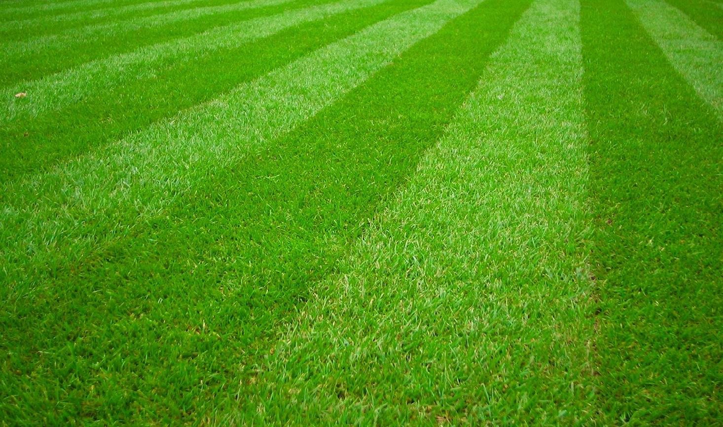 NAC KOSIARKA SPALINOWA Z NAPĘDEM DPO TRAWY 40CM 40L 127cm³ LS40-127R-JN Marka NAC