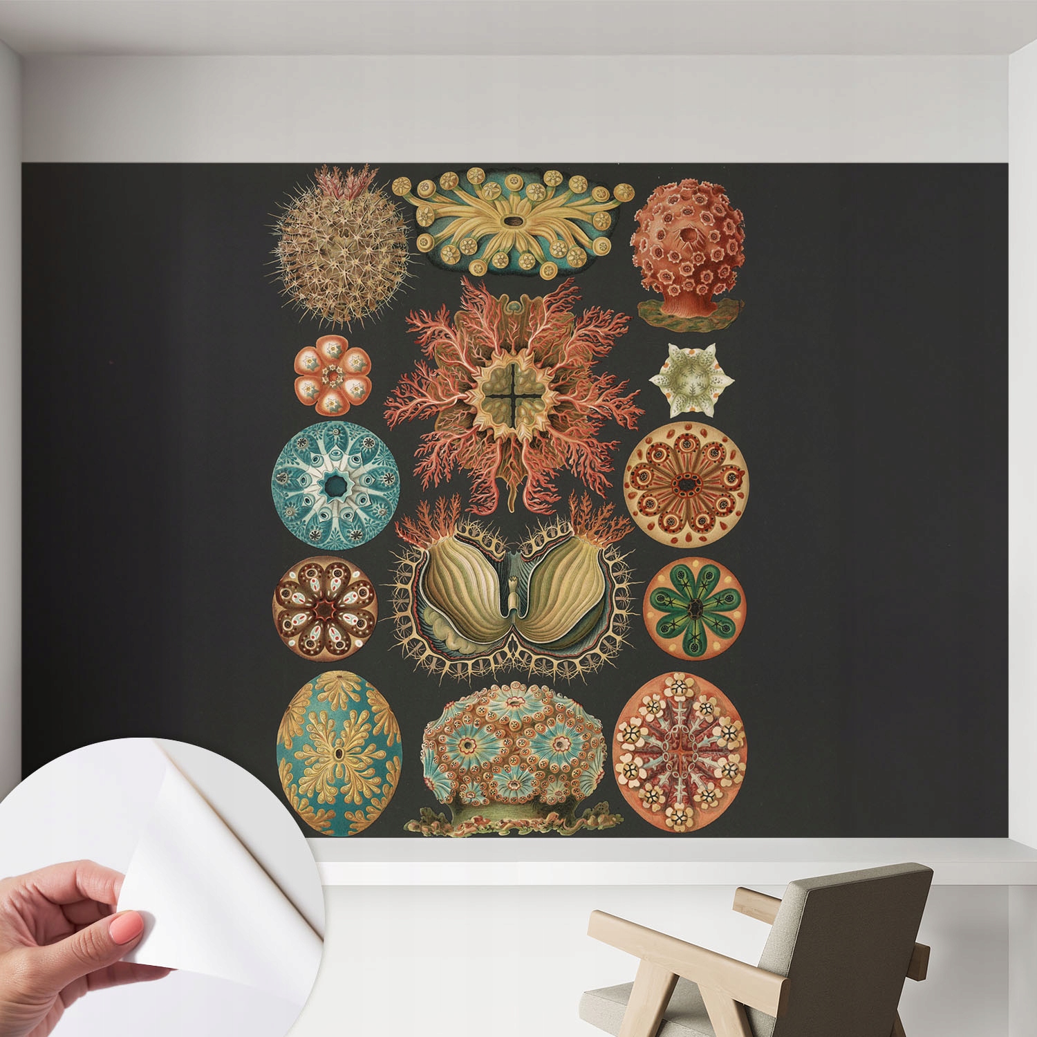 Módní Samolepicí tapeta s 3D nástěnným lepidlem Mořské inspirace 152x104