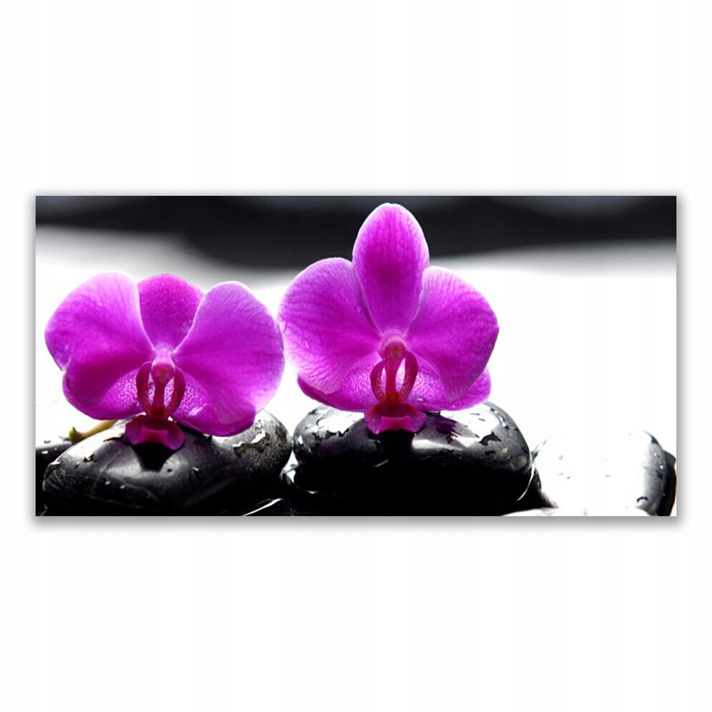 

Fotoobraz nowoczesny 120x60 Kwiaty Orchidea Natura