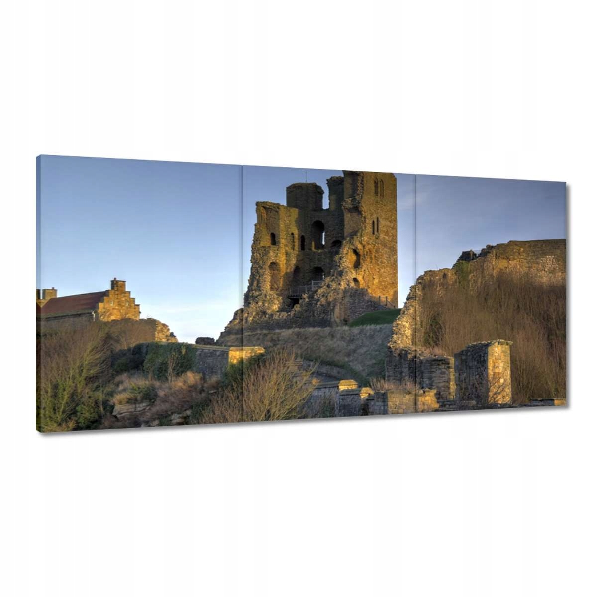 Obrazy 120x60 Zřícenina hradu