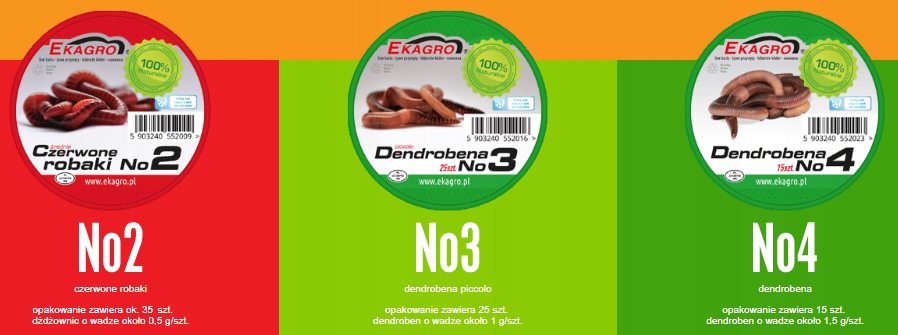 DendroBOX - Dendrobena 500 gram. + 3 GRATISY!! Rodzaj robaki