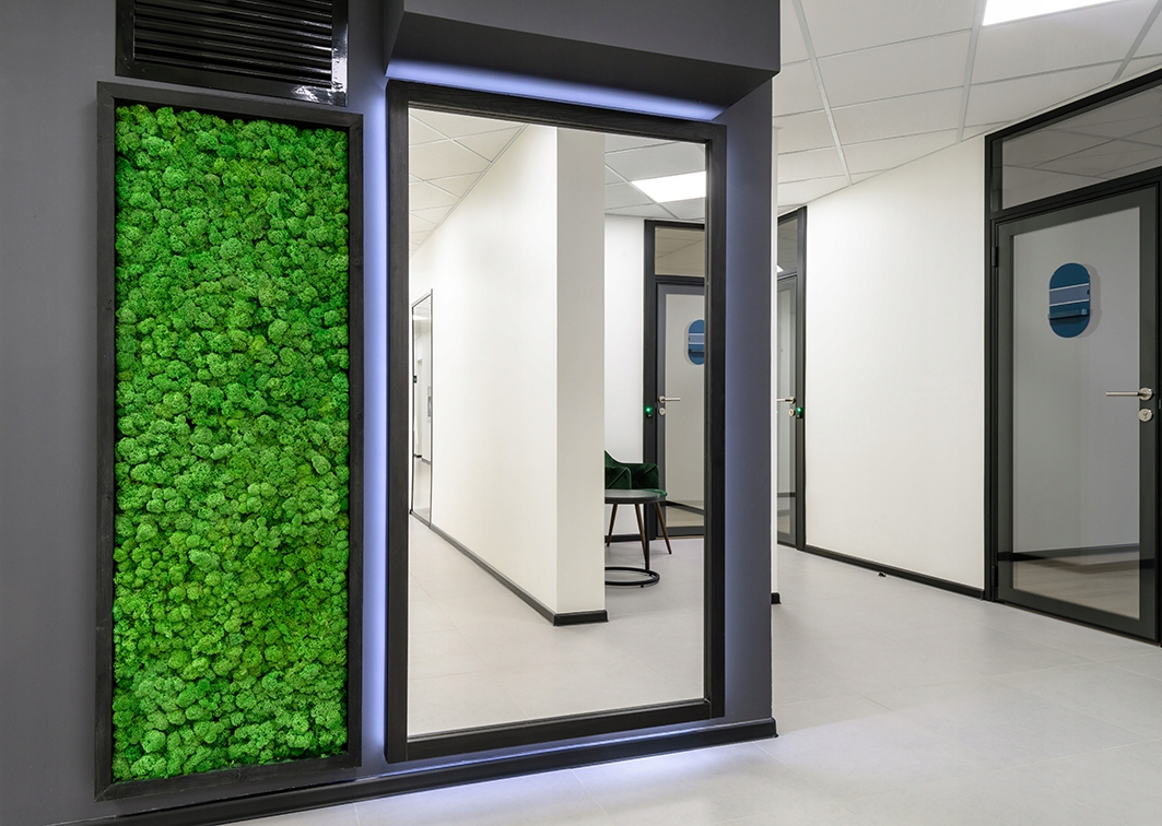 Panel obraz z mchu na wymiar mech chrobotek 10cm2 (11354) • Cena