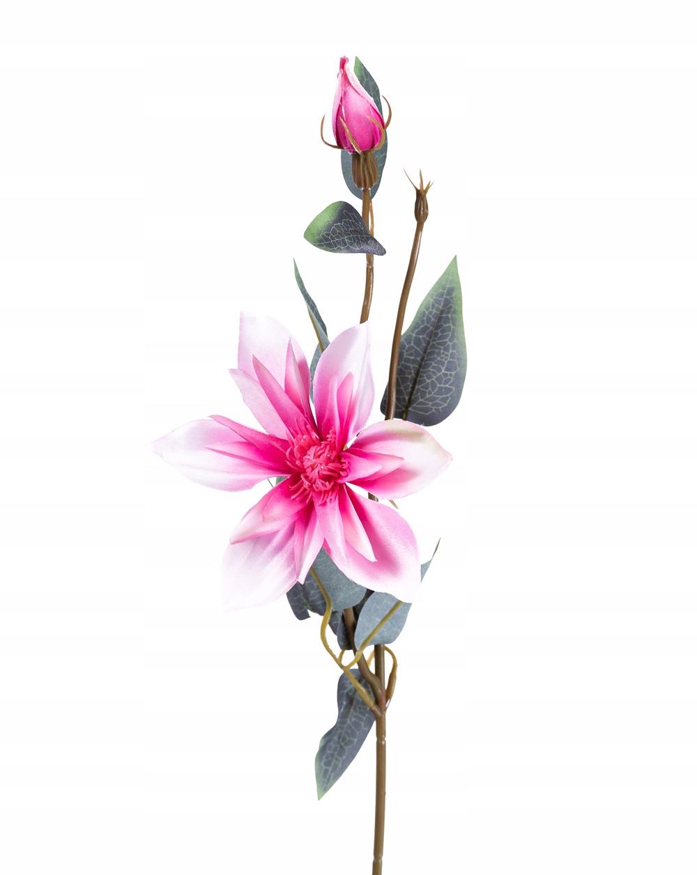 

Klematis Różowy Gałązka Sztuczne Kwiaty Clematis
