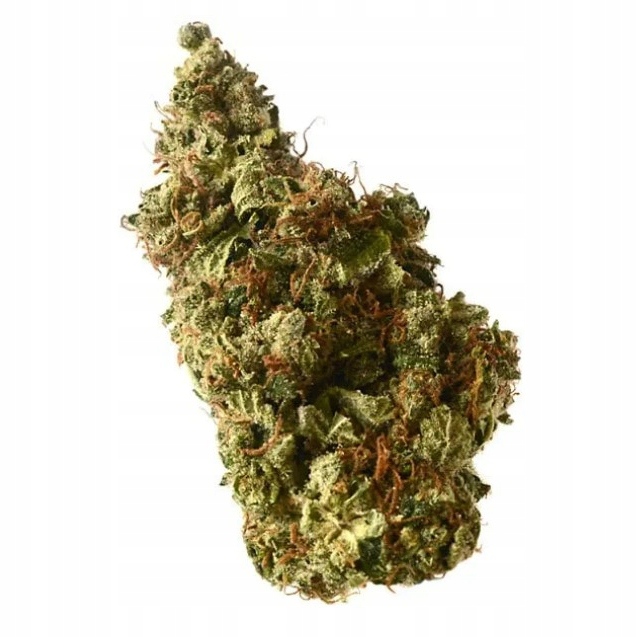 

Susz Konopny Cbd Exotic Kush Premium+ Duże Topy 3g