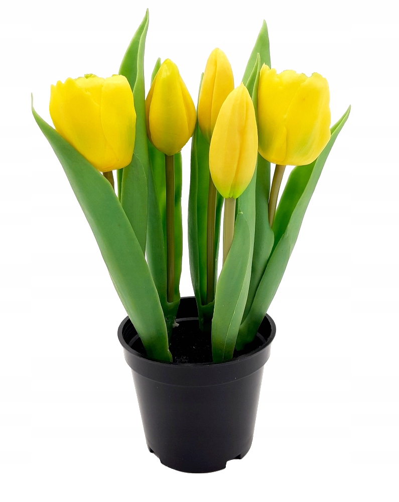 TULIPANY SILIKONOWE W DONICZCE TULIPAN ŻÓŁTY 5szt