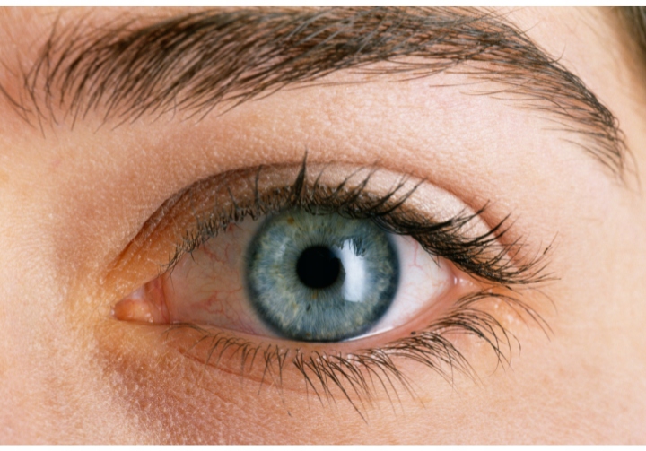 Żarówka LED E27 kolorowa WIFI Tuya RGBW RGB SMART Inteligentna WOOX Stan opakowania oryginalne