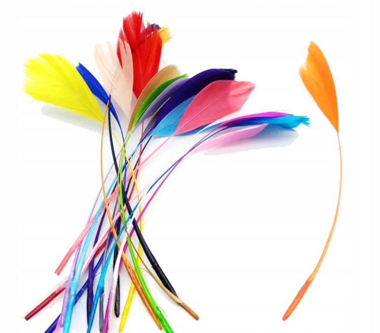 Pióra gęsie trymowane 13-18cm MIX Kolor 10szt