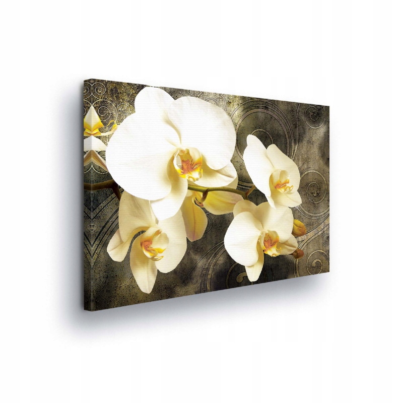 Obraz 100x75 Orchidej bílé květy jemnost příroda krása klid