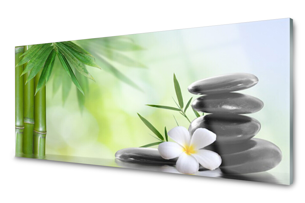 

Panel szklany do kuchni Bambus Łodyga Kwiat 125x50