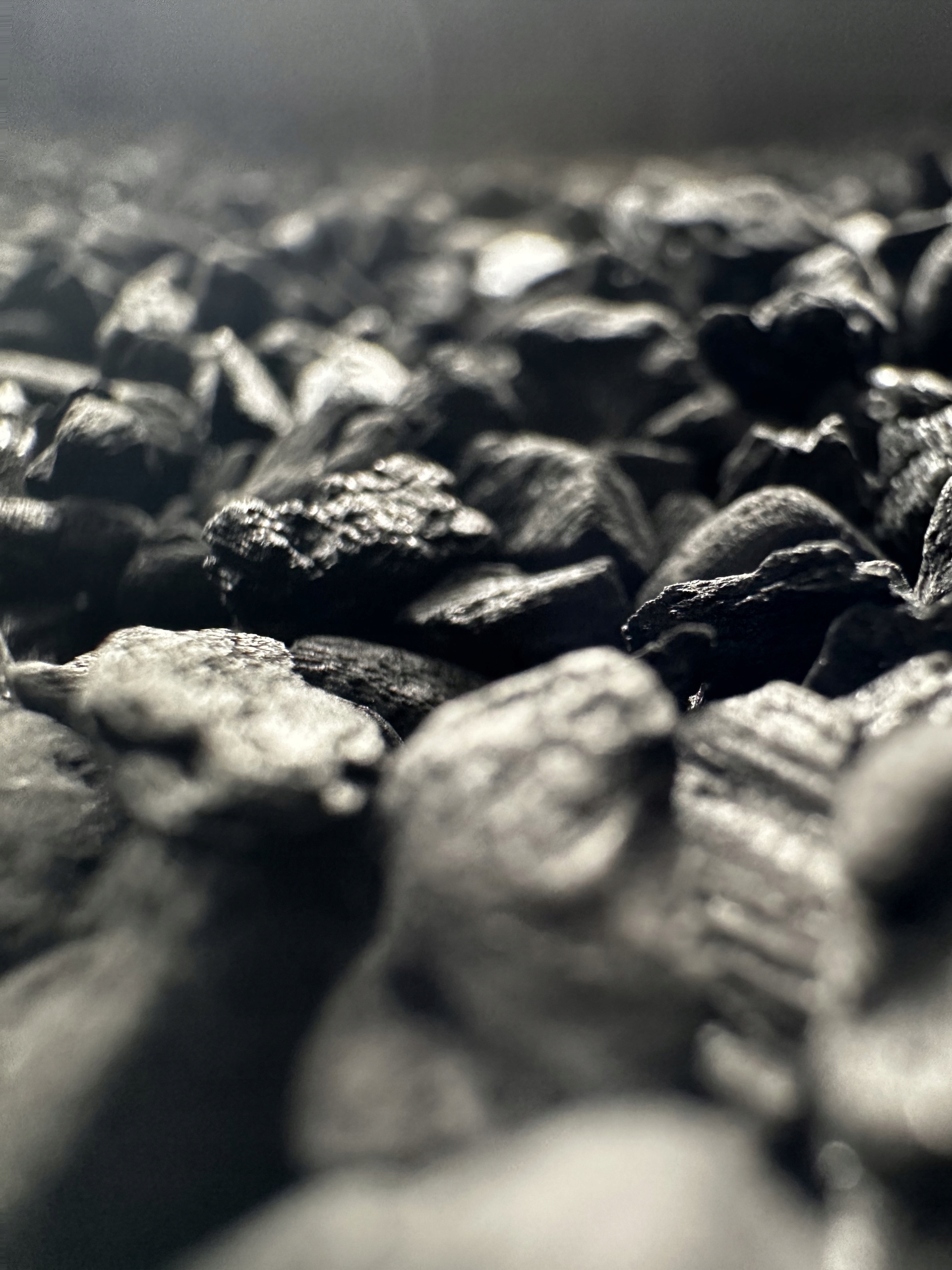 Węgiel aktywny do roślin granulowany drzewny 1l Pojemność 1 l