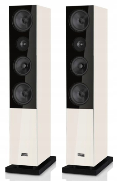 KOLUMNY PODŁOGOWE AUDIO PHYSIC CLASSIC 35 SILVER Rodzaj podłogowe