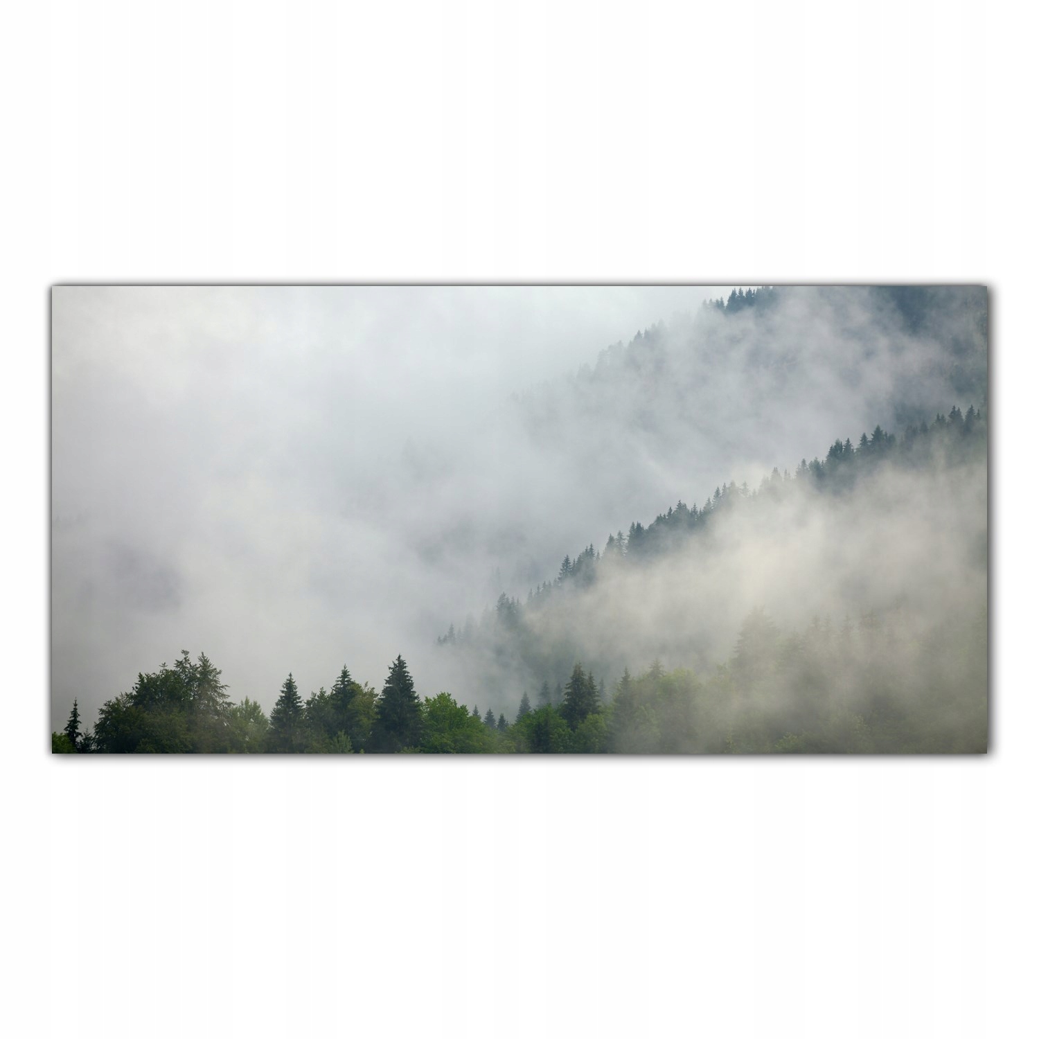 

Obraz Szklany Foto-obraz Mgła Las Drzewa 100x50