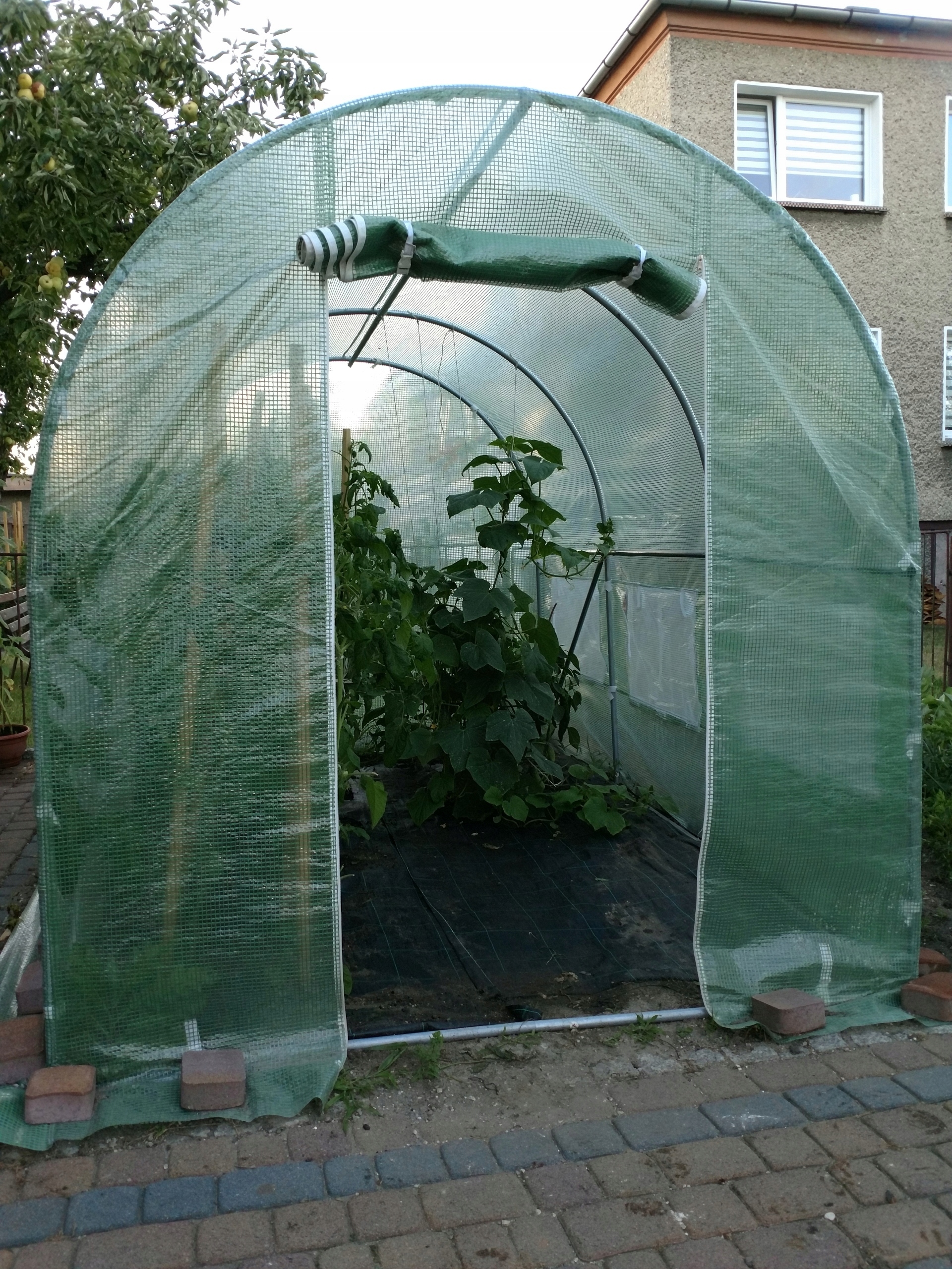 TUNEL FOLIOWY FOLIAK SZKLARNIA NA WARZYWA 3x10x2 Producent Rot Service