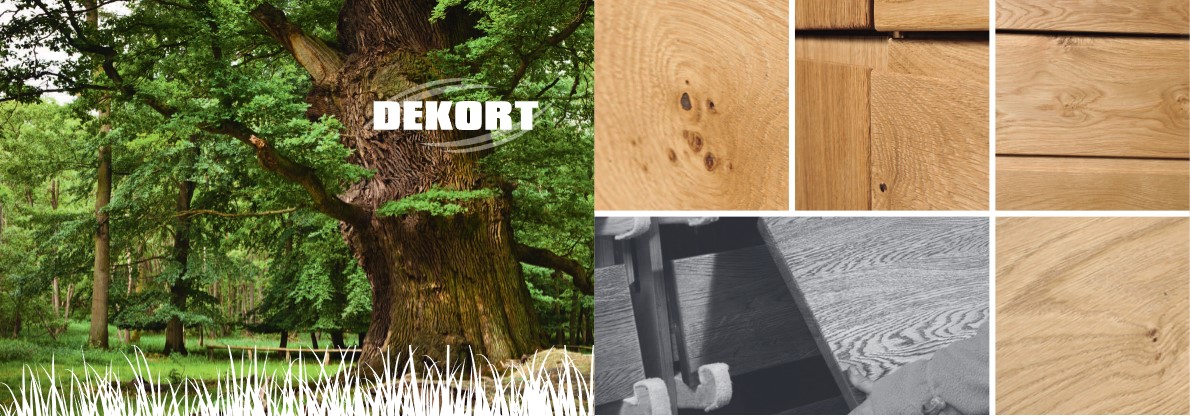 ATLANTA-11 dębowy regał na książki 60 cm DEKORT Materiał drewno płyta fornirowana