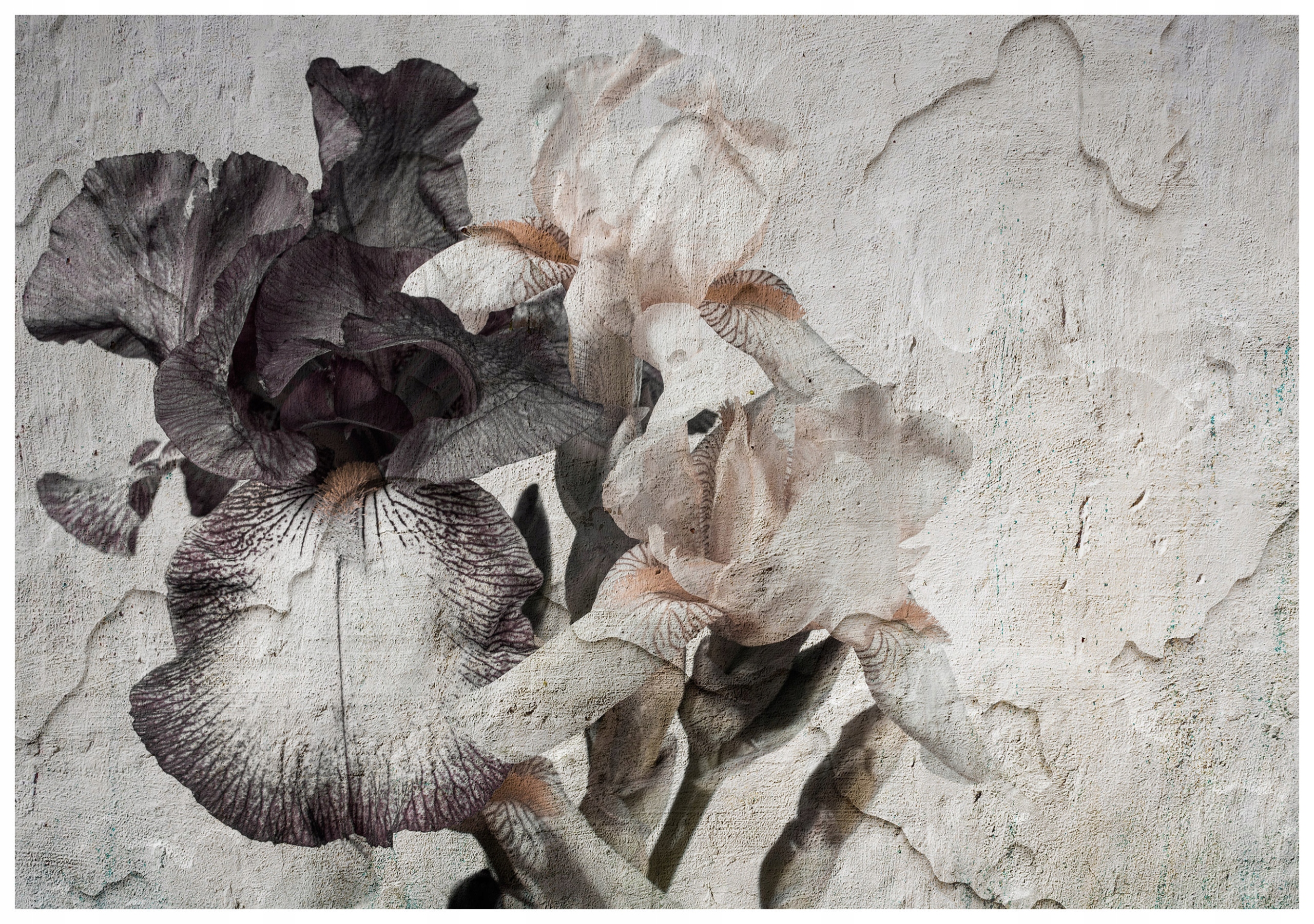 Vliesová fototapeta Irisy na pozadí popraskané stěny ve vintage stylu 368x254 lepidlo