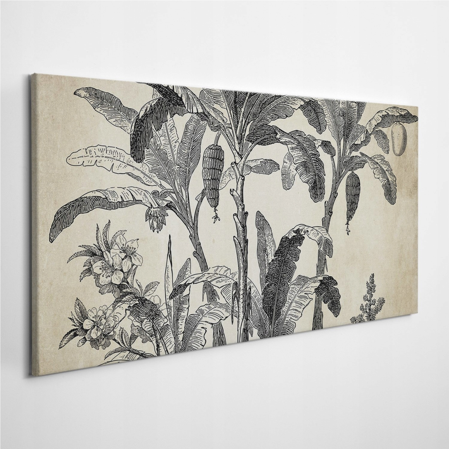 

Fotoobraz na ścianę Palma Natura Vintage 100x50 cm