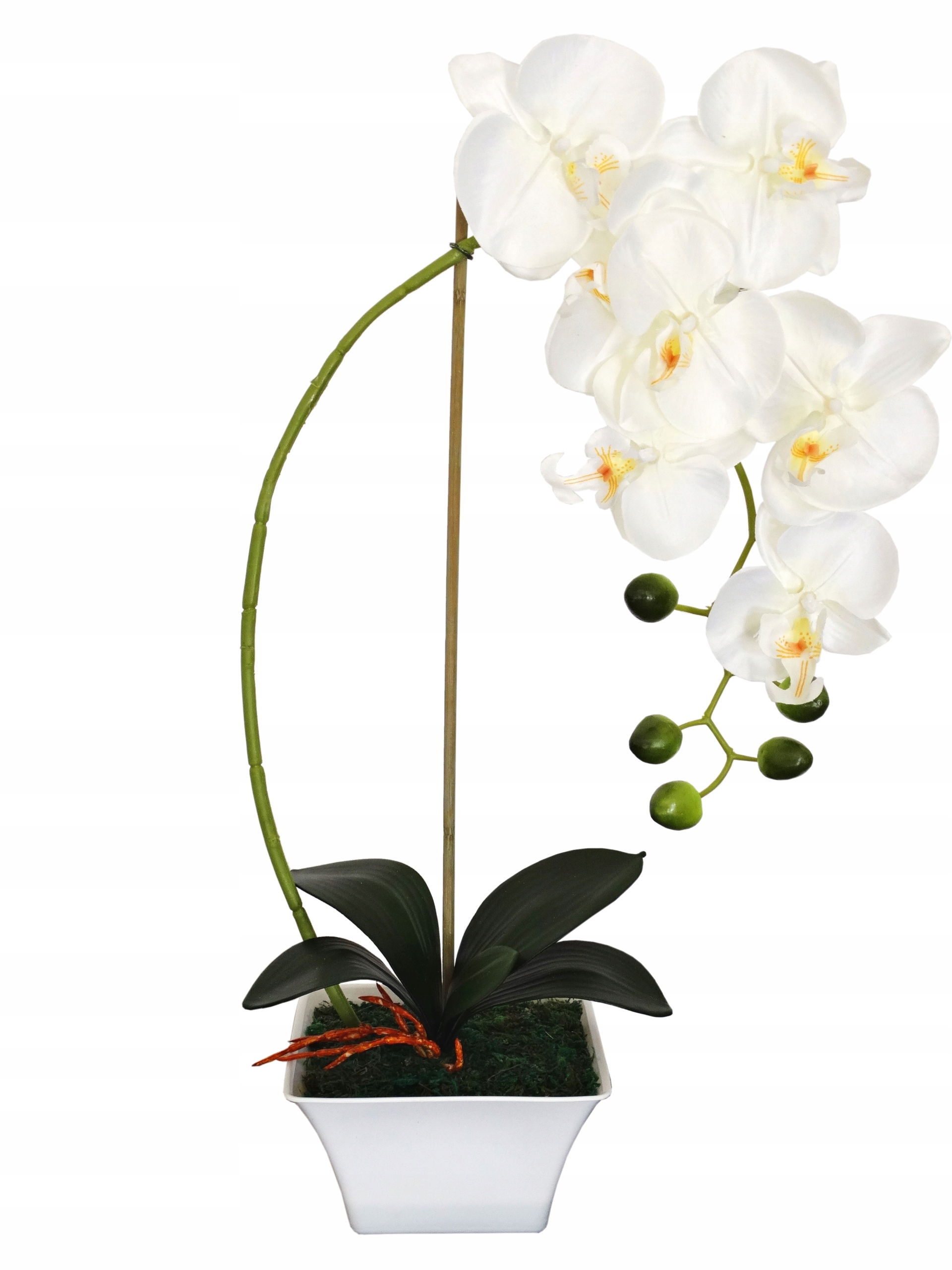 

Storczyk Sztuczny Storczyki Kwiat Orchidea Kwiaty