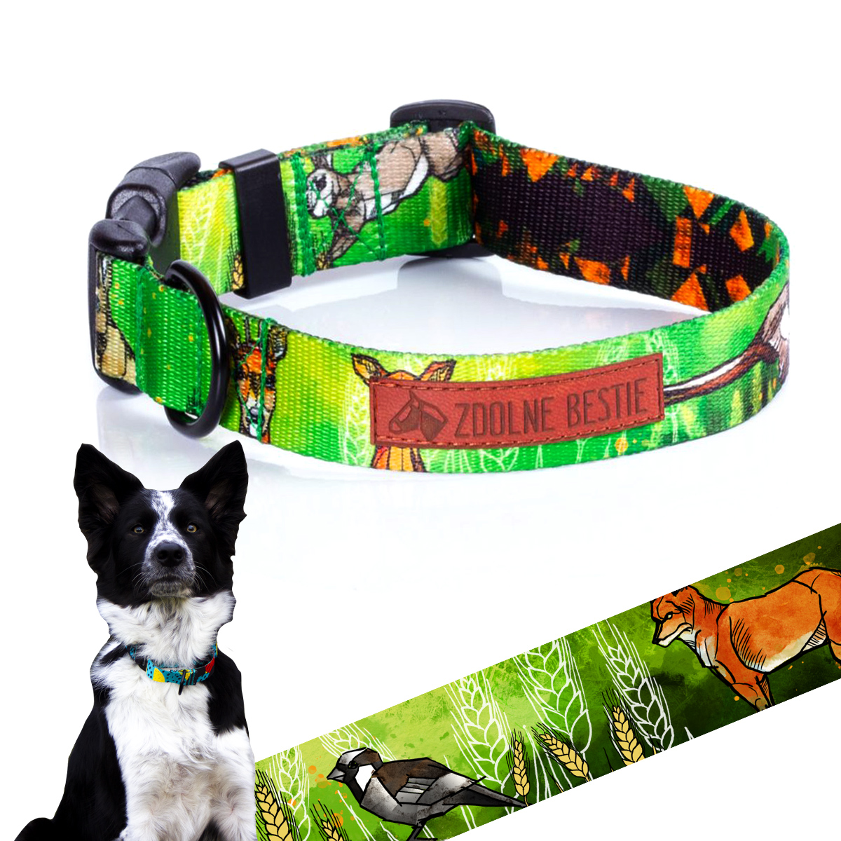 

Obroża dla Border Collie dla bordera rozm. M