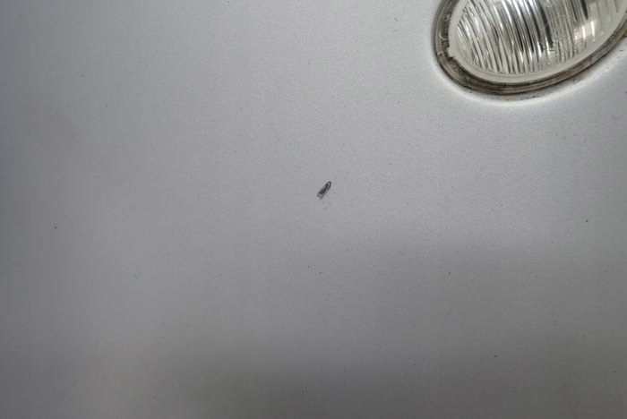 FIAT 500L TREKING 12- fender left front front
