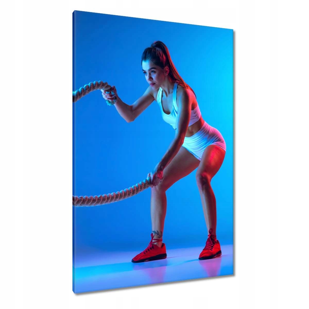 Obrazy 80x120 Cvičení s lany
