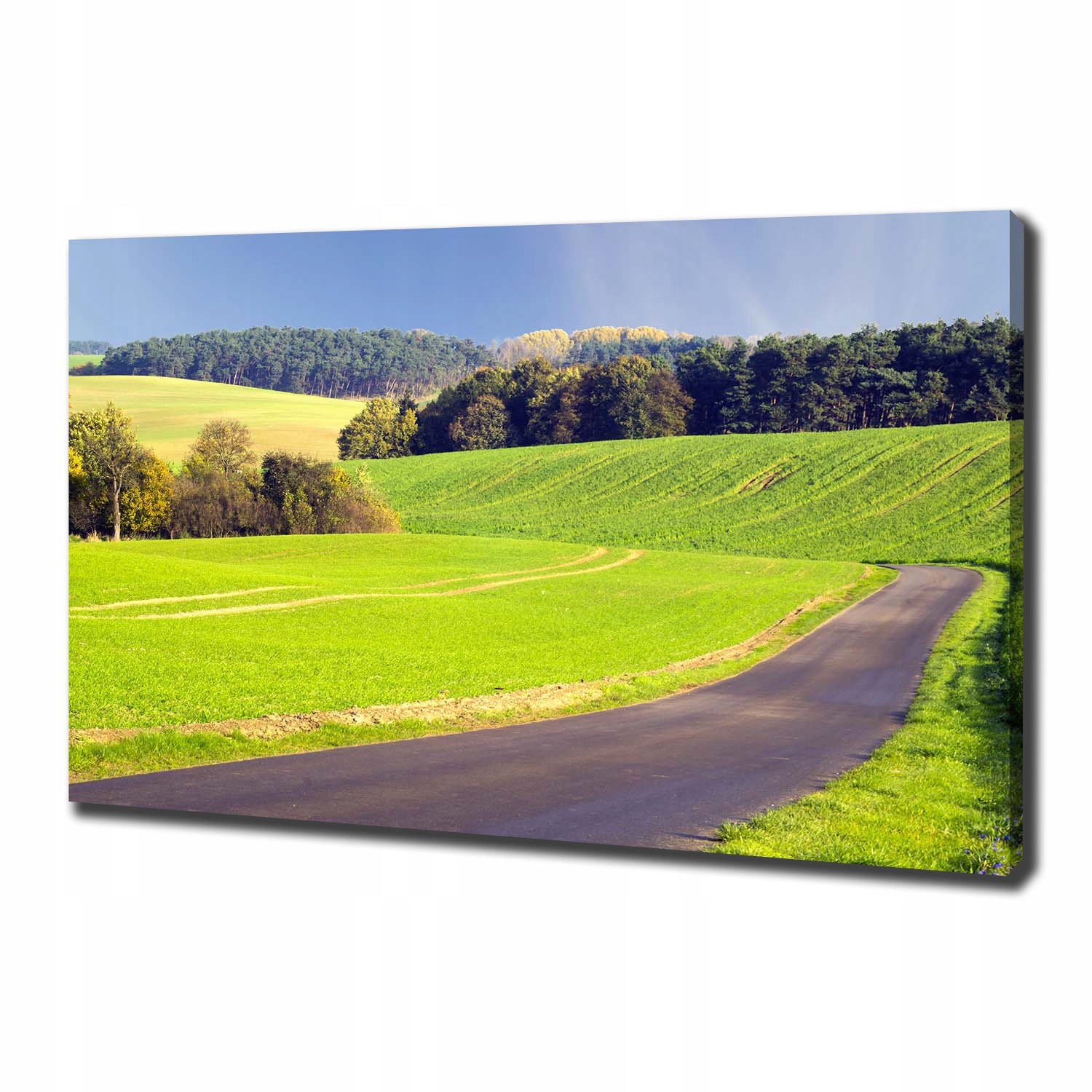 

Foto obraz canvas na ścianę Polna droga 100x70 cm