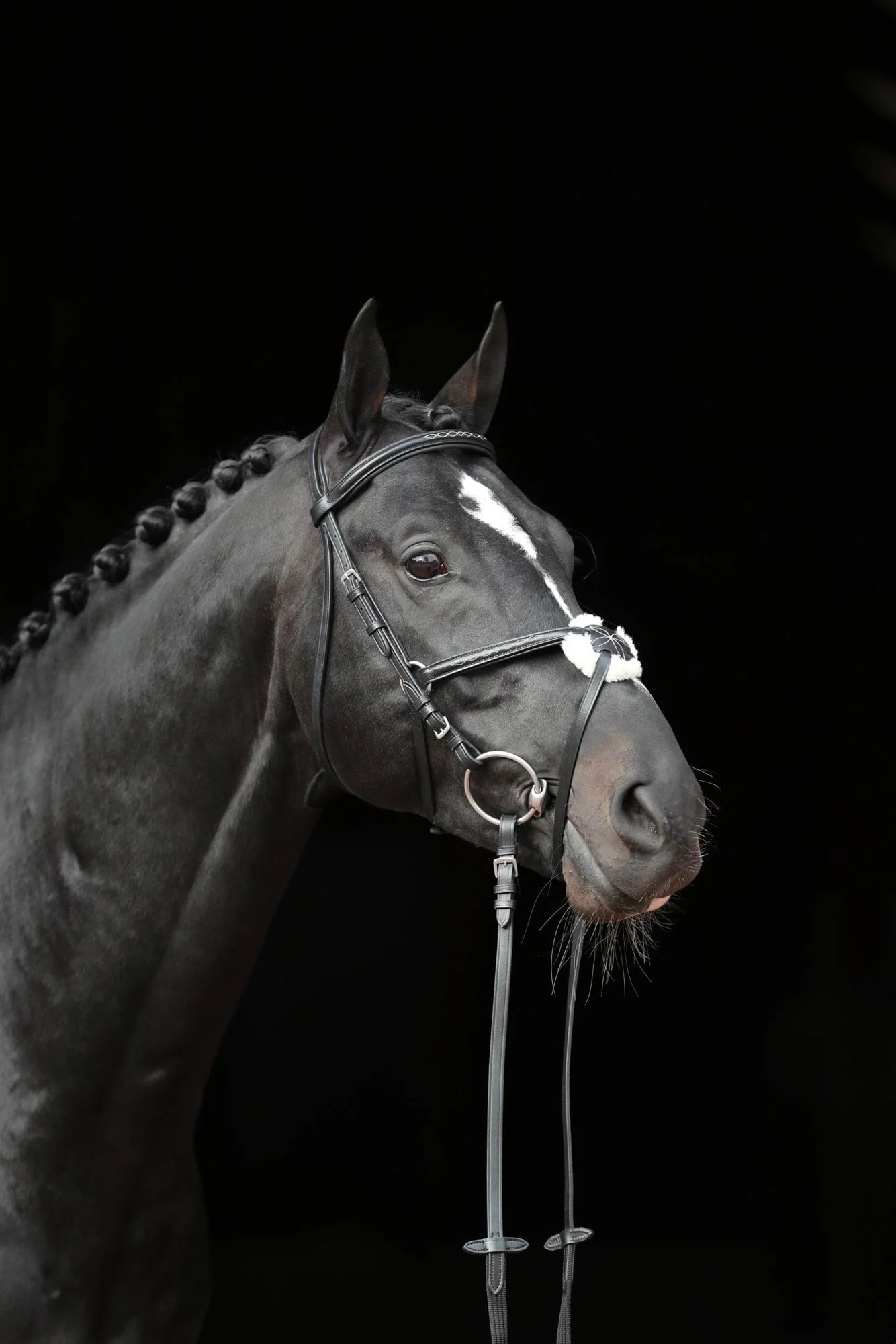 Ogłowie dla konia Cancun, czarny, roz. Cob, Covalliero Kod producenta 4201 00 00