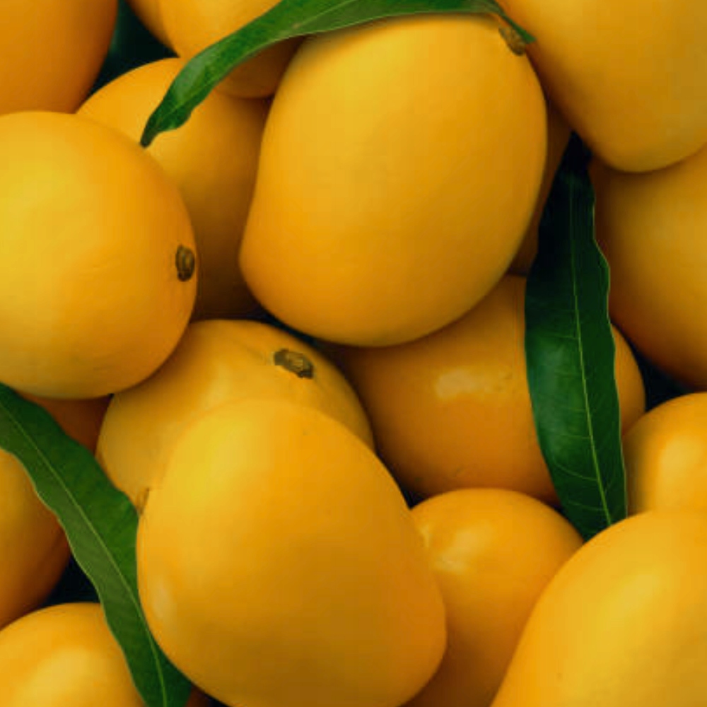 GLIMMERSTONE SHOWER GEL ŻEL POD PRYSZNIC SOCZYSTE ŚWIEŻE MANGO 5L JAKOŚĆ Zapach mango