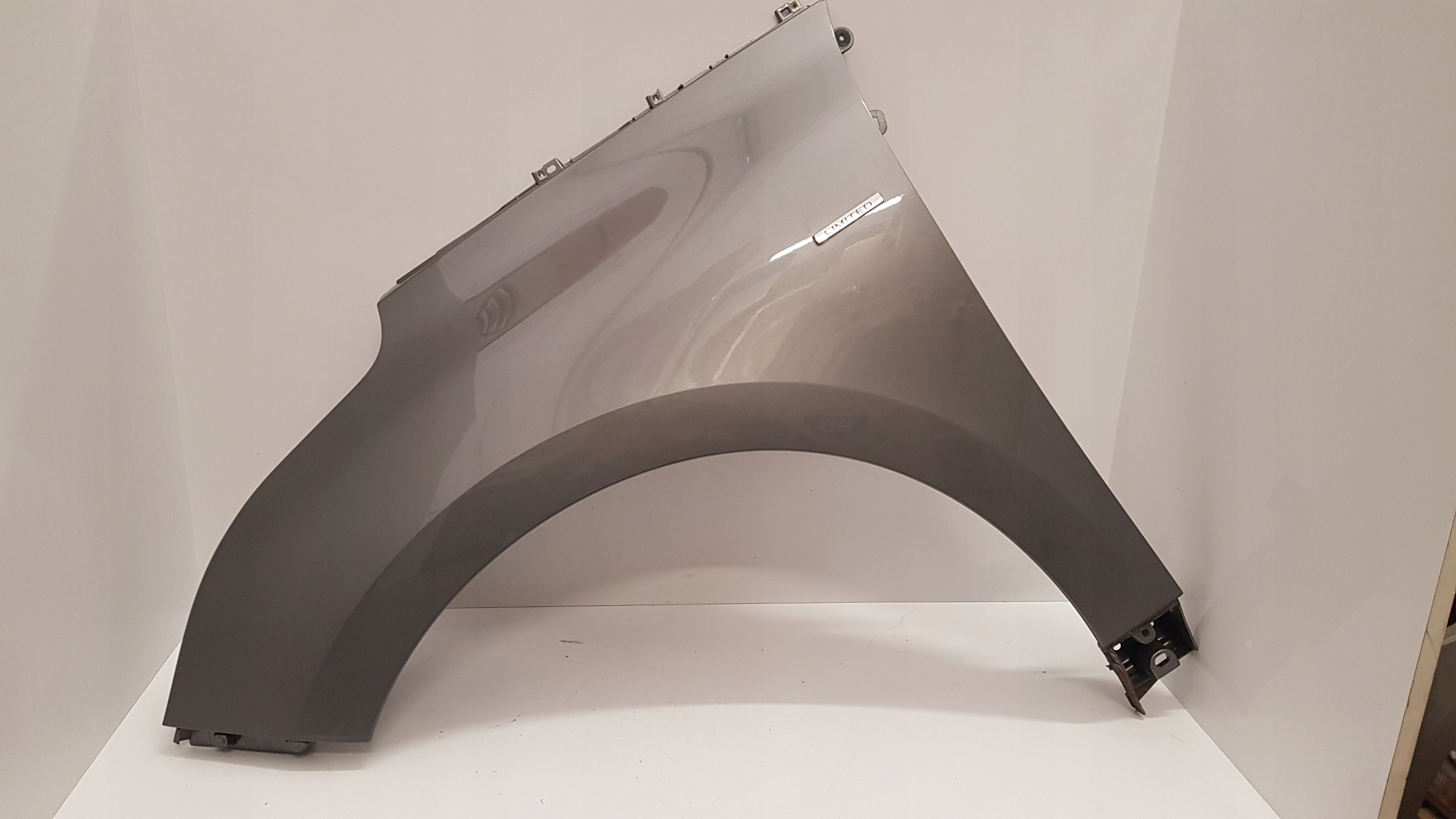 BŁOTNIK PRZEDNI LEWY REANULT SCENIC IV W KOLOR