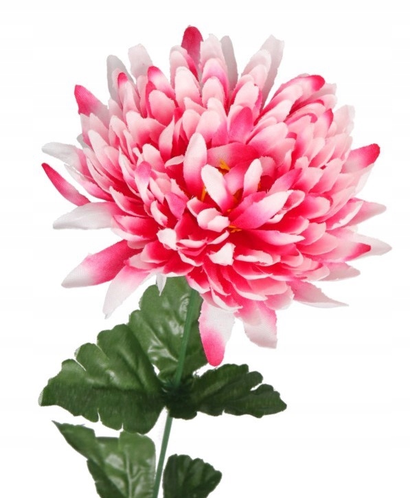 SZTUCZNE KWIATY ROŚLINY CHRYZANTEMA POJEDYNCZA XXL Rodzaj galązki