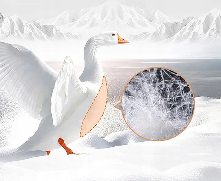 KOŁDRA PUCHOWA 220x200 PUCH GĘSI 3 kg 2 KOLORY Waga wypełnienia 3000 g