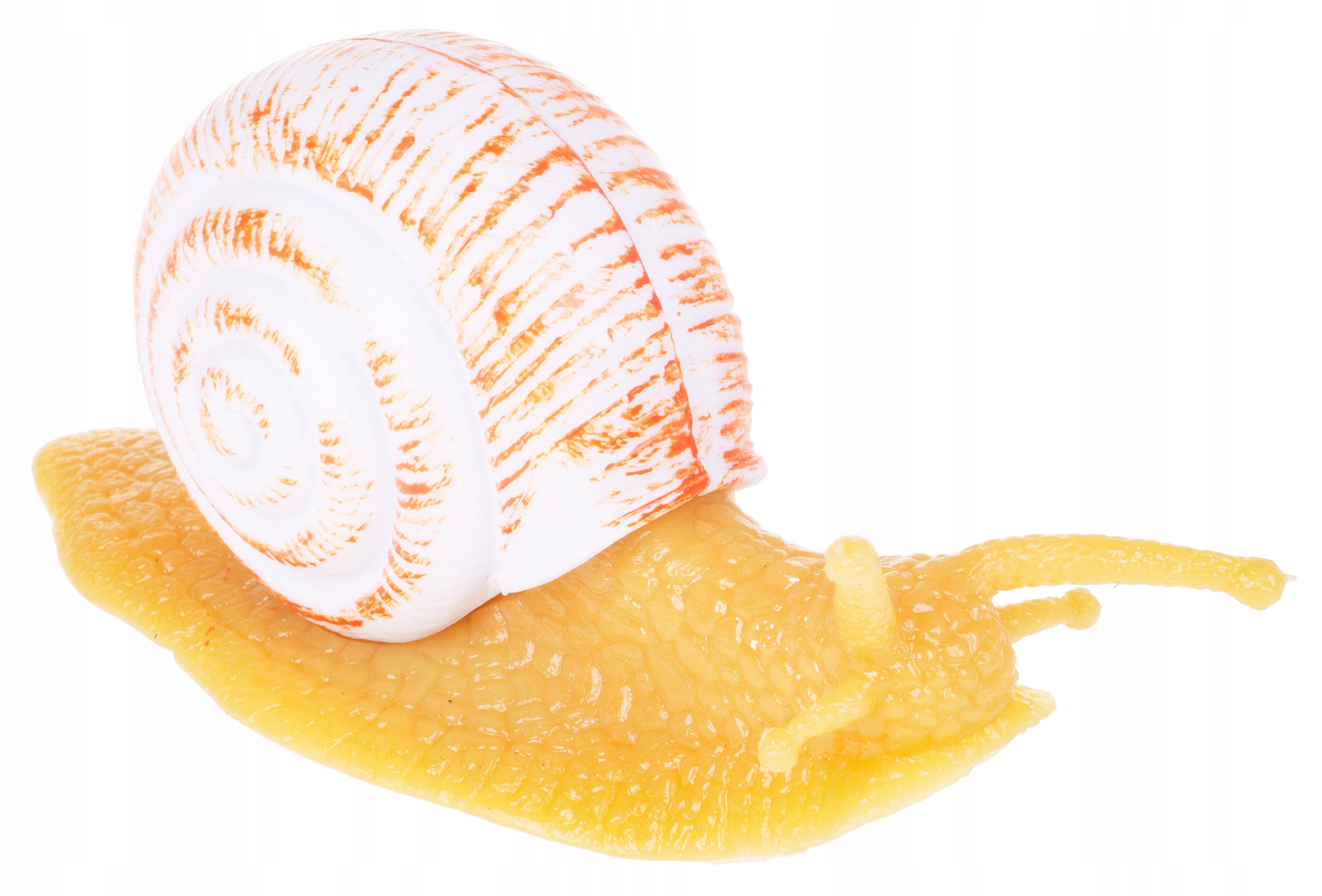 

Ślimak Gumowa Skorupa Plastikowa Mięczak Pomarańcz